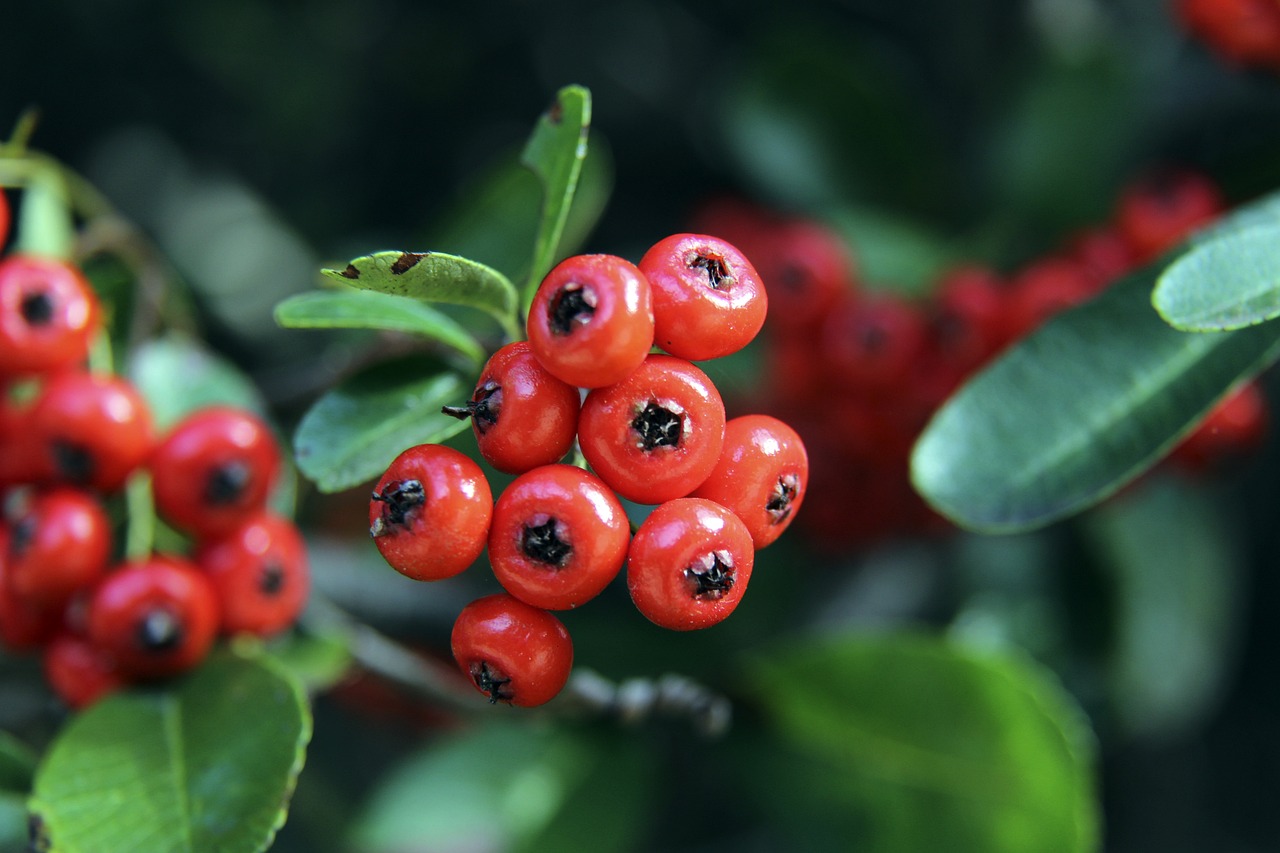 有的实力 有的实力